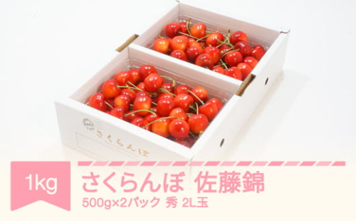 さくらんぼ 佐藤錦 秀品 2L玉 1kg 500gパック×2 バラ詰 2023年産 山形