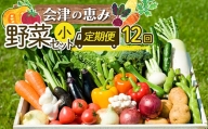 3市町村共通返礼品「会津の恵み野菜セット」（小）定期便 12回 F4D-0503