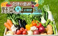 3市町村共通返礼品「会津の恵み野菜セット」（大）定期便 3回 F4D-0504