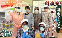 月山なんばこ全て西川町産の唐辛子を使用。月山ゆずりはの会、会員が苗から丹精込め育て加工しました。ぜひご賞味下さい。超激辛・・・黄とうがらしを丸ごと粉末にした超激辛なんばこです。辛味好きの方にはたまらな