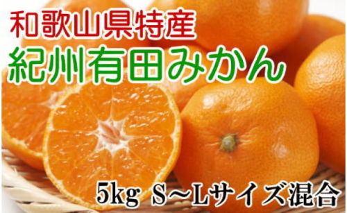 [秀品]和歌山有田みかん約5kg（S～Lサイズ混合）★2024年11月中旬頃より順次発送 656050 - 和歌山県有田川町