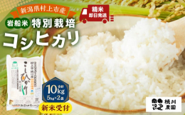 村上市桃川産 特別栽培米 コシヒカリは、新潟三大コシヒカリの産地「岩船産」の地域の中でも食味が良いといわれる里山の麓で育てるお米です。コシヒカリ特有の粘りと強い甘みが自慢のお米です。冷めても粘りと甘み