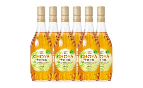 ザ・チョーヤ 大地の梅 700ml ×6本セット 656457 - 和歌山県那智勝浦町