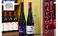 MW12-24F 山葡萄ワイン2種セット（500ml×2本）// 長野県 南信州 山ぶどう 山葡萄 贈答 ギフト 稀少 甘口ワイン 辛口ワイン