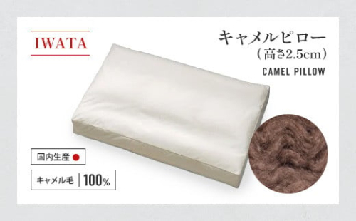 IWATA　キャメルピロ―　（高さ2.5㎝）　枕　ラクダ　AA098
