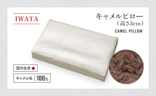IWATA　キャメルピロ―　（高さ3㎝）　枕　ラクダ　AA099