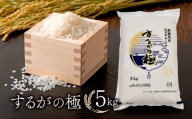 【価格改定予定】米 するがの極 5kg お米  JA ブランド米 きぬむすめ