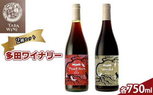 野生酵母 赤ワイン 2本セット お酒 ピノノワール メルロ 飲み比べ 果実酒 無濾過  656780 - 北海道上富良野町