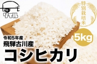先行予約 令和5年産 新米 飛騨古川産　特別栽培米　こしひかり　5kg 特A [Q1858]