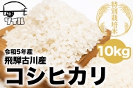 先行予約 令和5年産 新米 飛騨古川産　特別栽培米　こしひかり　10kg 特A [Q1859]