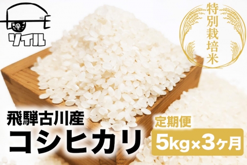 米 定期便 3回 コシヒカリ 飛騨古川産 特別栽培米 こしひかり 5kg 特A [Q1860]