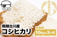 米 定期便 3回 コシヒカリ 飛騨古川産 特別栽培米 こしひかり 10kg 特A [Q1863]