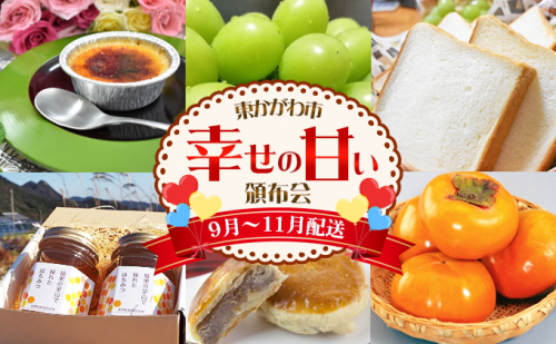 東かがわ市【幸せの甘い定期便】頒布会9月～11月配送 657138 - 香川県東かがわ市