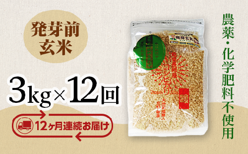 E1-29【12ヶ月連続お届け】新潟県長岡産コシヒカリ 発芽前玄米 3kg