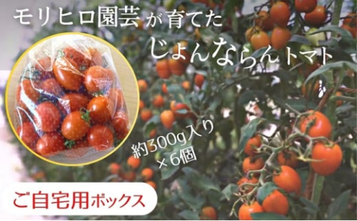 モリヒロ園芸が育てたじょんならんトマト（ご自宅用ボックス）