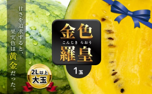 大玉 スイカ 金色羅皇 1玉 『 かめまる食堂 』 | フルーツ 果物 くだもの すいか 西瓜 金 熊本県 玉名市