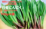 間澤さんの愛情たっぷり「行者にんにく」100g×4袋　春の味覚 山菜 アイヌネギ 希少 山の恵 新鮮 採れたて