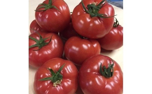 【完熟とまとの新井園】桃太郎トマト 2kg[52210248] 野菜  65815 - 埼玉県飯能市