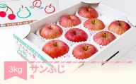 りんご サンふじ 約3kg 秀品 リンゴ 林檎 令和6年産 2024年産 果物 山形県産 mm-risfs3