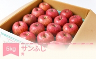 りんご サンふじ 約5kg 秀品 リンゴ 林檎 令和6年産 2024年産 果物 山形県産 mm-risfs5