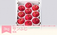 りんご サンふじ 約3kg 特秀品 リンゴ 林檎 令和6年産 2024年産 果物 山形県産 mm-risft3
