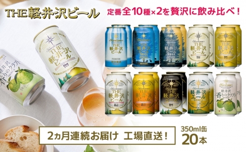 THE軽井沢ビール　10種20缶　飲み比べ　ギフトセット　2カ月定期便 658525 - 長野県佐久市