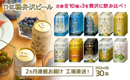 THE軽井沢ビール　10種30缶　飲み比べ　ギフトセット　2カ月定期便 658537 - 長野県佐久市