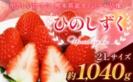 ひのしずく 1040g 2Lサイズ[2024年3月中旬-4月中頃より出荷予定]熊本県 大津町 果物 フルーツ いちご 苺 熊本県オリジナル品種 1kg以上