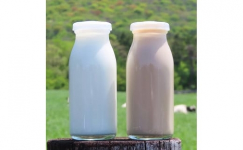 【定期便】山形県産 やまべ牛乳セット (牛乳 1L×3・コーヒー牛乳 900ml×1) ×6回 F21A-324
