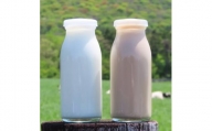 【定期便】山形県産 やまべ牛乳セット (牛乳 1L×3・コーヒー牛乳 900ml×1) ×12回 F21A-325