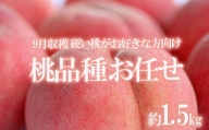 No.1906【先行予約】たかはし果樹園の桃　9月収穫約1.5kg【2024年発送】