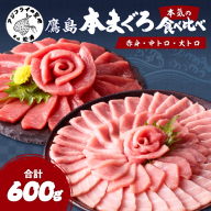鷹島本まぐろ柵(赤身・中トロ・大トロ) 合わせて600g( マグロ まぐろ 赤身 中トロ 大トロ 本まぐろ 手軽 おつまみ 柵 流水解凍 )【C7-027】