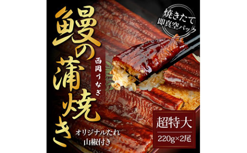 KGP036　本気の高知ブランド鰻「西岡うなぎ」 - 超特大サイズ - うなぎの蒲焼き2尾セット（約440g）タレ山椒付き ＃食べて応援 659168 - 高知県芸西村