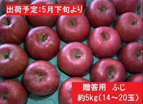 5～6月贈答用ふじ 約5kg（14～20玉） 659269 - 青森県西目屋村