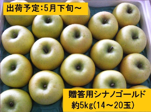 5～6月贈答用シナノゴールド 約5kg（14～20玉） 659272 - 青森県西目屋村