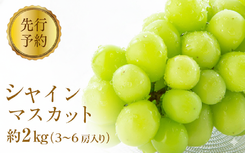 2026年産ぶどう  シャインマスカット 約2kg 3～6房入り 葡萄 ブドウ フルーツ 果物 シャイン マスカット デザート おやつ 信州 2026年秋発送  659469 - 長野県長野市