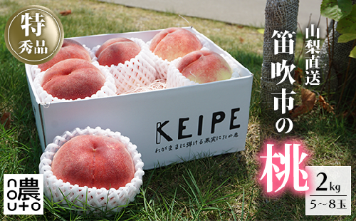 ＜25年発送先行予約＞日本一の生産量 山梨県産 桃 2kg以上 5~8玉 | 山梨 桃 本場 秀品 もも 高評価 人気 ランキング おすすめ コスパ 甘い 高糖度 美味しい デザート 数量限定 送料無料　産地直送 山梨県産 「販売」KEIPE株式会社 154-030