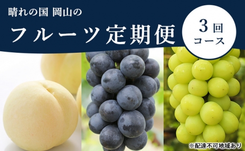 フルーツ［2023年先行予約］晴れの国 岡山 の フルーツ 定期便 3回コース 659932 - 岡山県浅口市