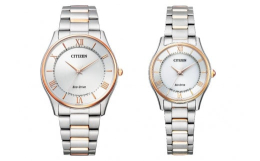 【ふるさと納税】【ペアウォッチ】CITIZEN 光発電 エコドライブ 時計シチズンコレクション BJ6484-50A EM0404-51A