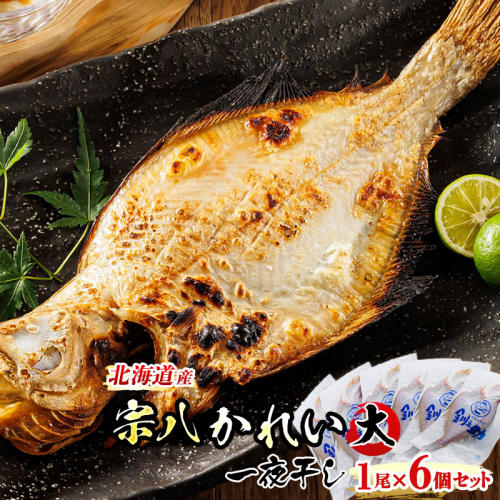 北海道産　宗八かれい(大)　1尾×6個セット | おつまみ 焼魚 焼き魚 定食 魚 干物 セット ひもの 冷凍 人気の 訳あり！ 660362 - 北海道釧路町