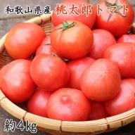 【新鮮】和歌山県産桃太郎トマト約4kg(L～2Lサイズおまかせ)