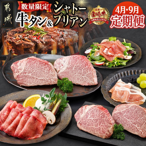 【数量限定】牛タン&シャトーブリアンが届く贅沢定期便_TMM2-0101 661706 - 宮崎県都城市