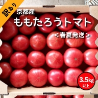[高糖度・訳あり トマト]ももたろうトマト(春夏発送) 3.5キロ以上 不揃い 桃太郎トマト トマトスープ やトマト料理にたっぷり使える