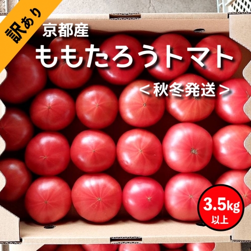 【高糖度・訳あり トマト】ももたろうトマト（秋冬発送）　3.5キロ以上　不揃い　桃太郎トマト　トマトスープ やトマト料理にたっぷり使える