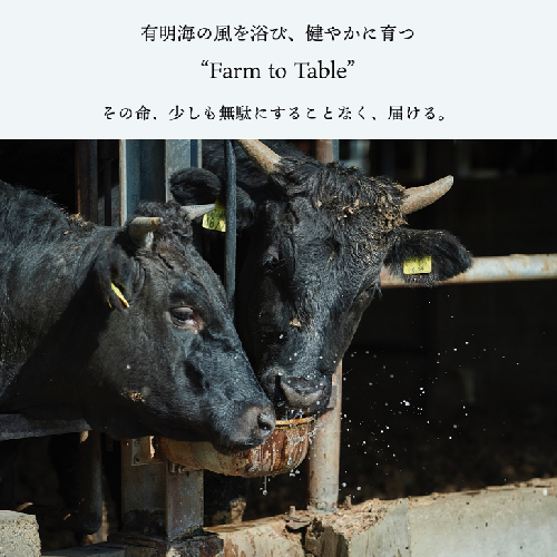 定期便12回】【牧場直送】佐賀産黒毛和牛 赤身焼肉用 600g：C216-004