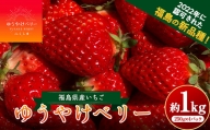 [限定]新品種のいちご 福島県 オリジナル品種「ゆうやけベリー」約1kg(250g×4パック)イチゴ 苺 フルーツ 果物 伊達市 F20C-678