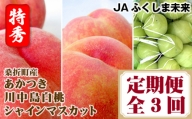 No.176 桑折町もも2品種・シャインマスカット定期便 ／ 果物 フルーツ モモ ブドウ 福島県 特産品