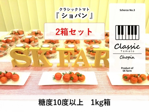 高糖度ミニトマト：クラシックトマト『ショパン』1kg箱 x 2箱セット＜出荷：2023年8月7日出荷終了＞