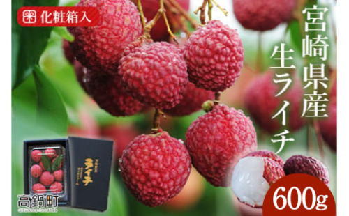 【先行予約】＜宮崎県産ライチ600g＞2026年7月中に順次出荷 663282 - 宮崎県高鍋町