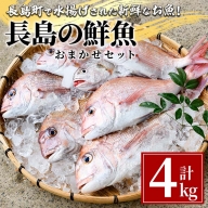 長島の鮮魚おまかせセット_ikegami-737